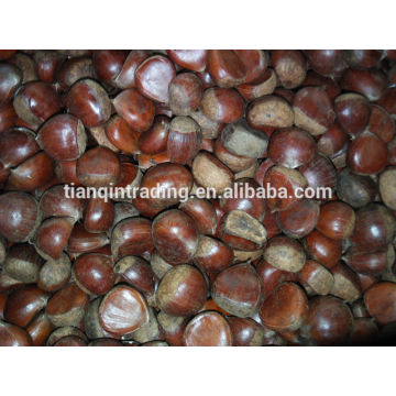 chinese chestnut 5kg bag Africa